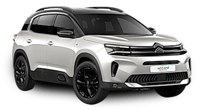 Large Cars